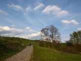 hahneberg_2016_01