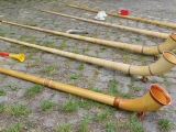 alphorn-fahrradkonzert-potsdam-05