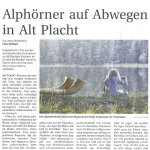 Alphörner auf Abwegen - Templiner Zeitung vom 17.10.12